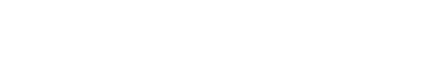 Primion